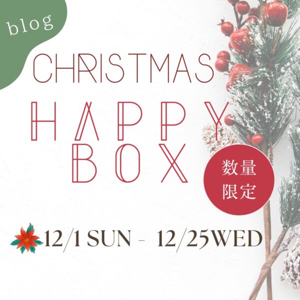 数量限定！クリスマスHAPPY BOX発売♪